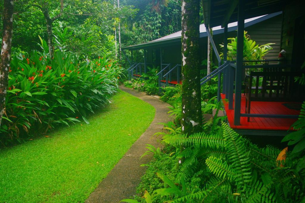 Heritage Lodge In The Daintree Cape Tribulation Exteriör bild