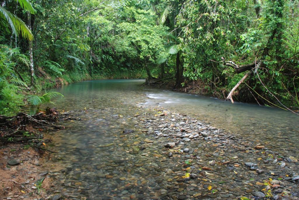 Heritage Lodge In The Daintree Cape Tribulation Exteriör bild