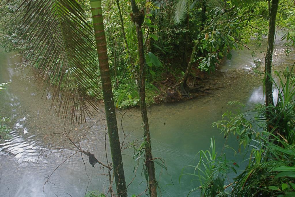 Heritage Lodge In The Daintree Cape Tribulation Exteriör bild