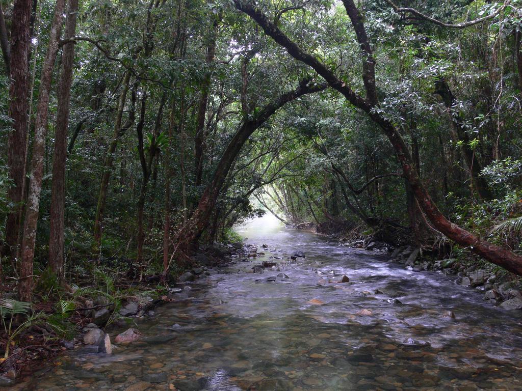 Heritage Lodge In The Daintree Cape Tribulation Exteriör bild