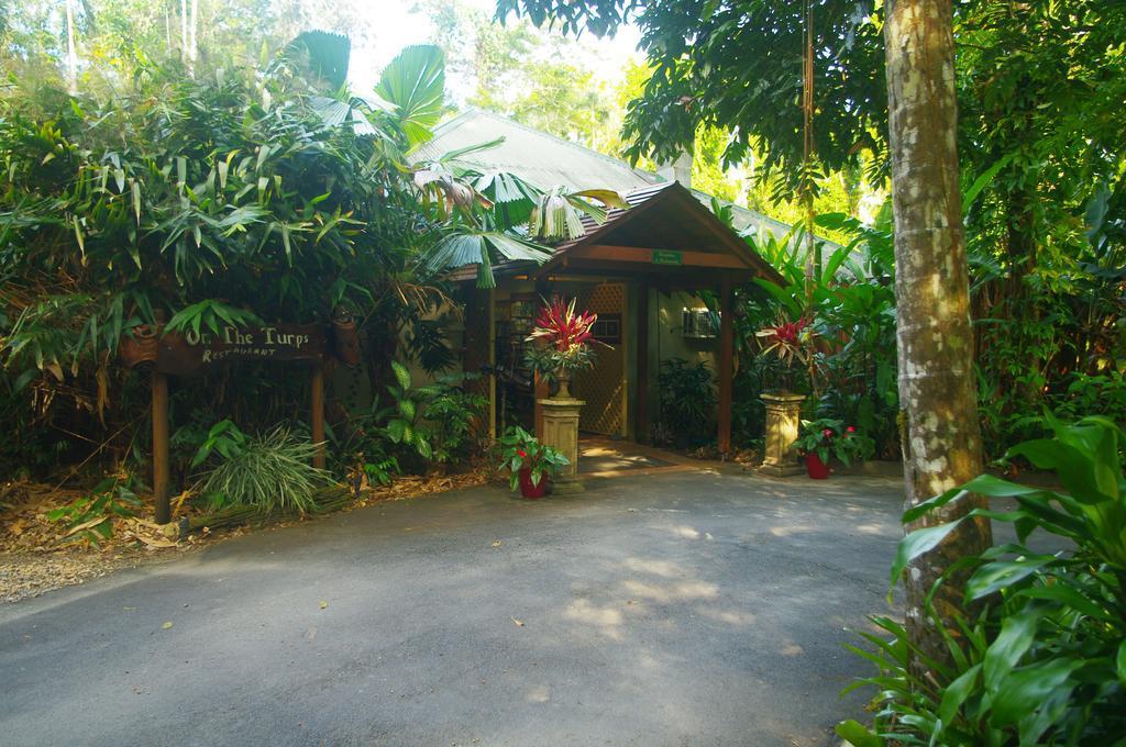 Heritage Lodge In The Daintree Cape Tribulation Exteriör bild